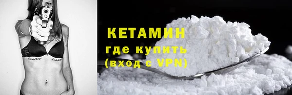 прущие грибы Няндома